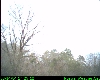 Live Weather Cam from RoswellWeather.Net